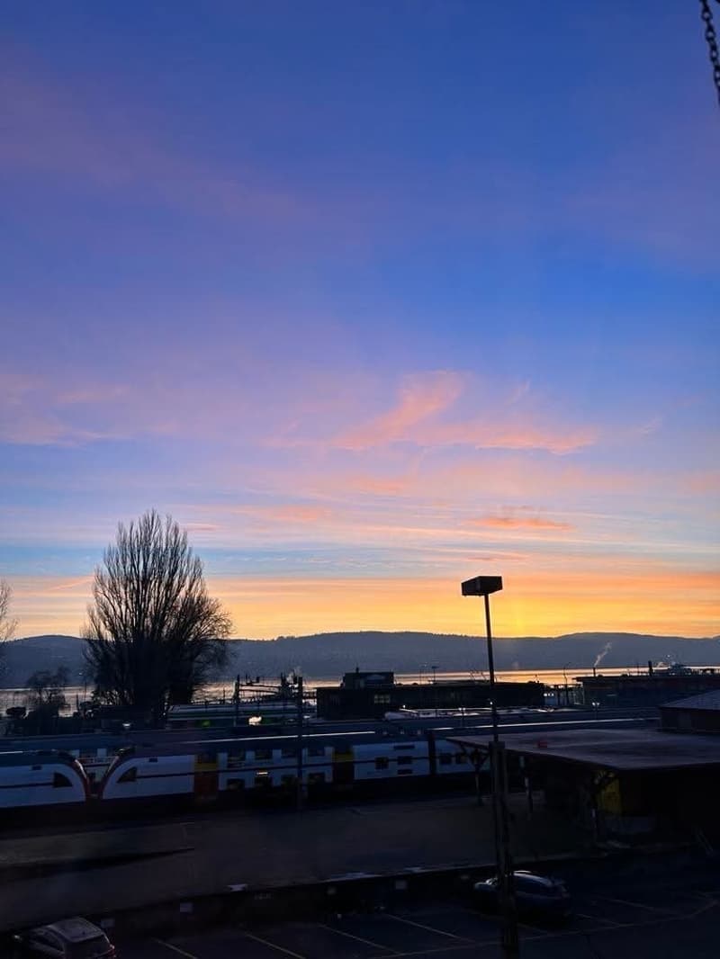 Chambre en sous-location à 5 minutes du lac de Zurich (5)