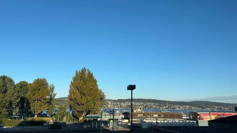 Chambre en sous-location à 5 minutes du lac de Zurich (6)