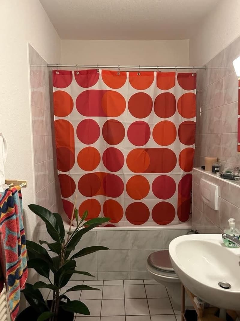 Chambre en sous-location à 5 minutes du lac de Zurich (4)
