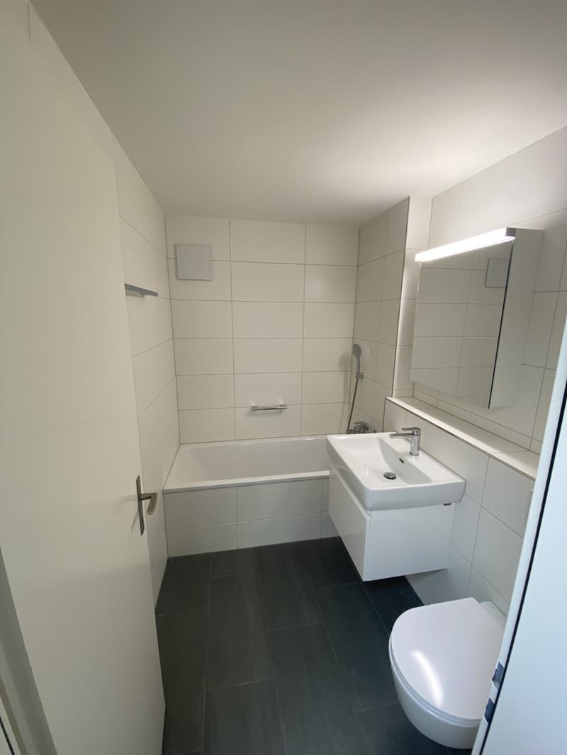 Preiswert wohnen auf Zeit 4.5-Z-Whg. in Aesch (BL) (7)
