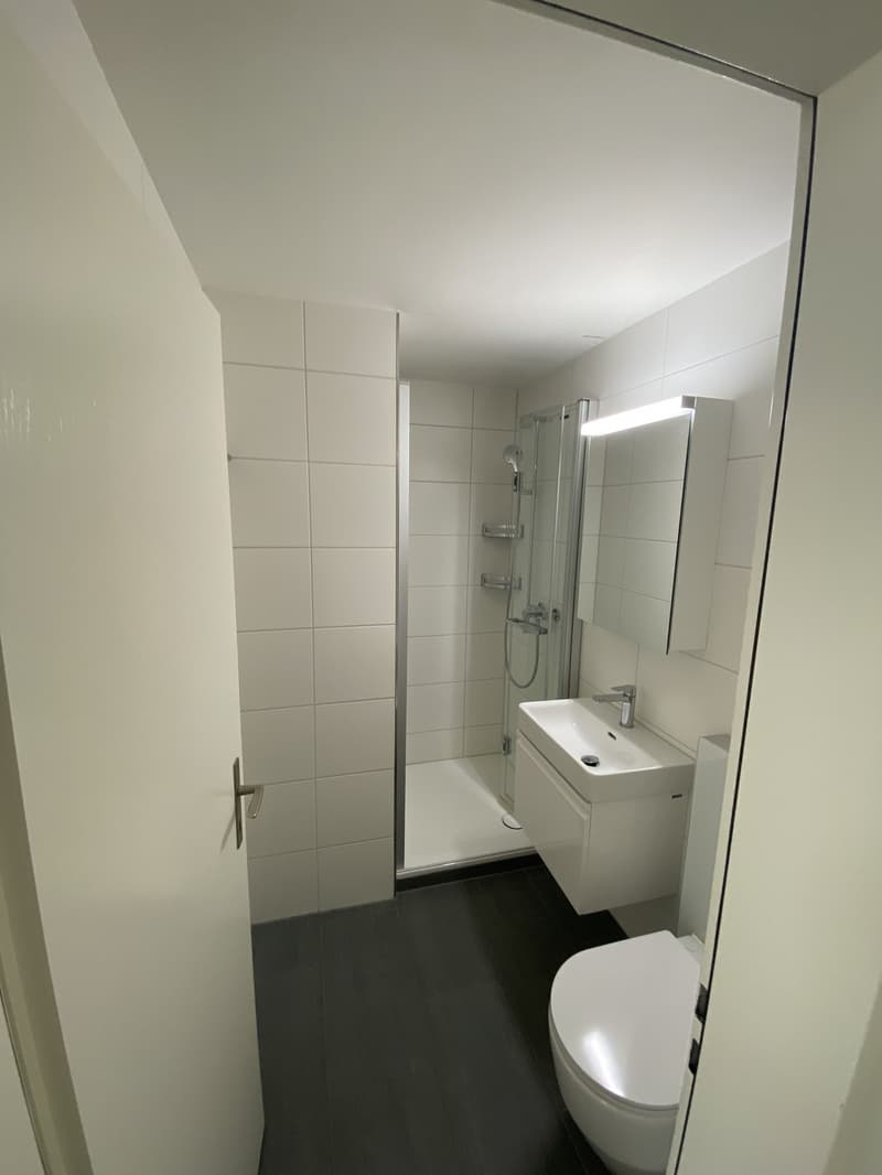 Preiswert wohnen auf Zeit 4.5-Z-Whg. in Aesch (BL) (8)
