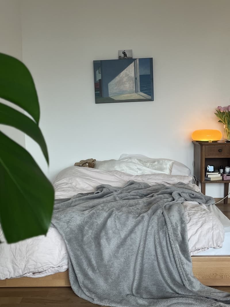 Appartement spacieux de 1,5 pièces avec grand balcon (4)