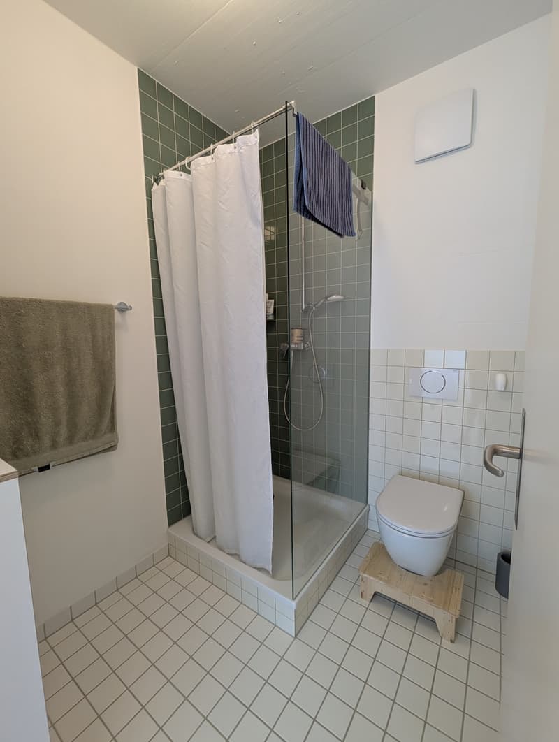 Appartement 2.5 pièces à louer à Köniz (8)