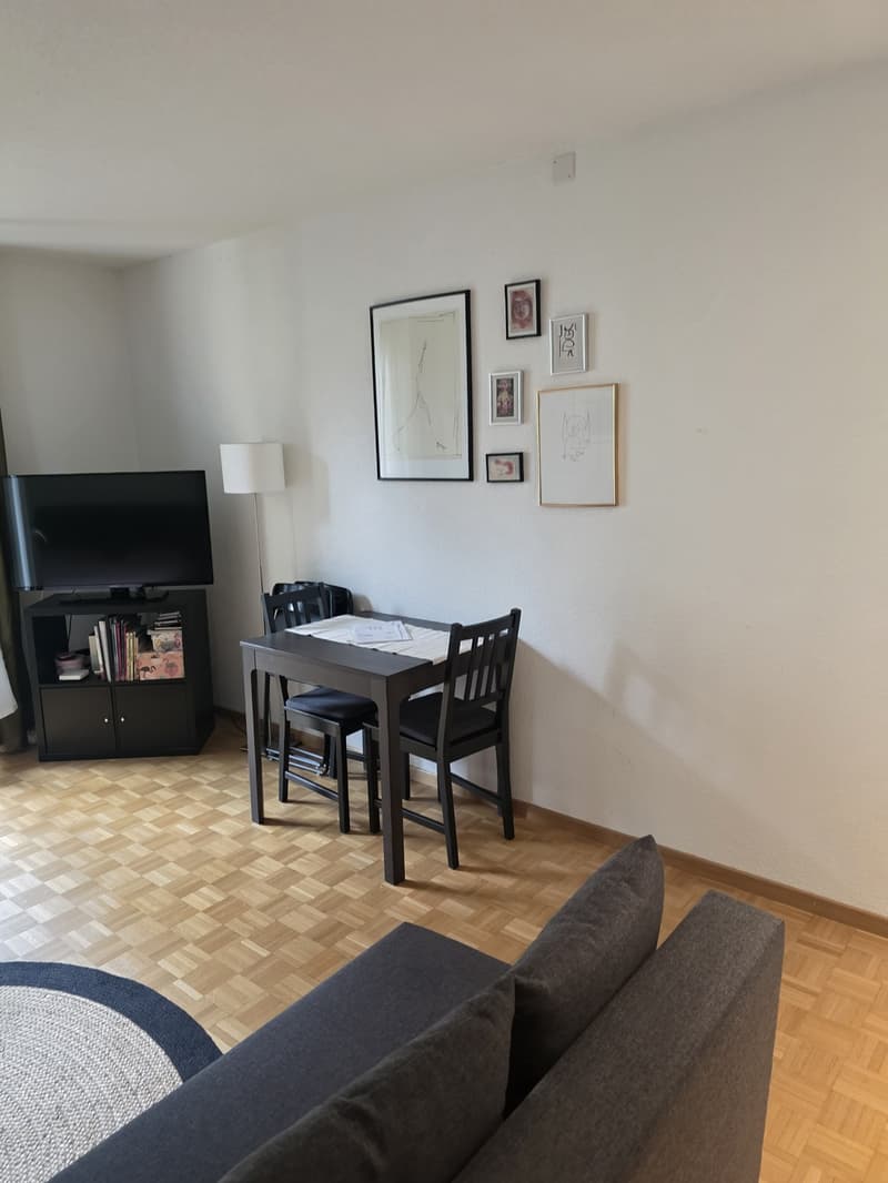 Charmante 1-Zimmer-Wohnung am Hottingerplatz (5)