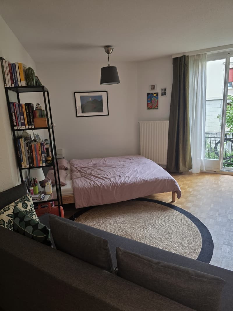 Charmante 1-Zimmer-Wohnung am Hottingerplatz (2)