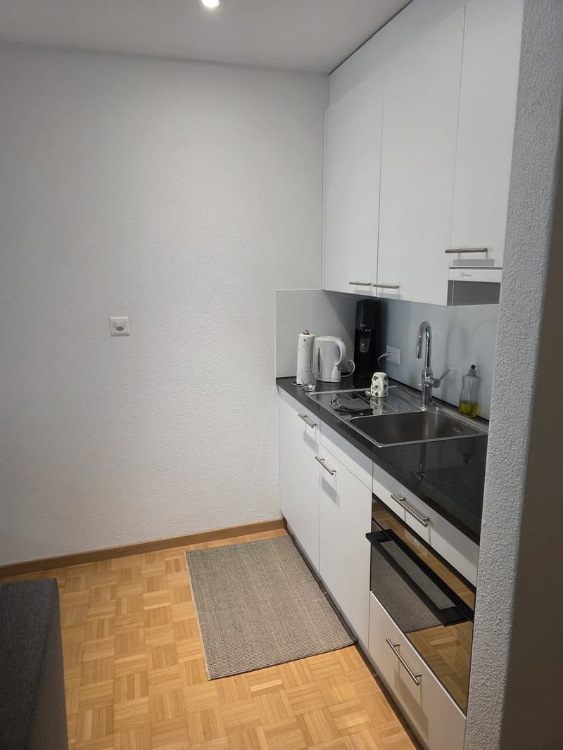 Charmante 1-Zimmer-Wohnung am Hottingerplatz (3)