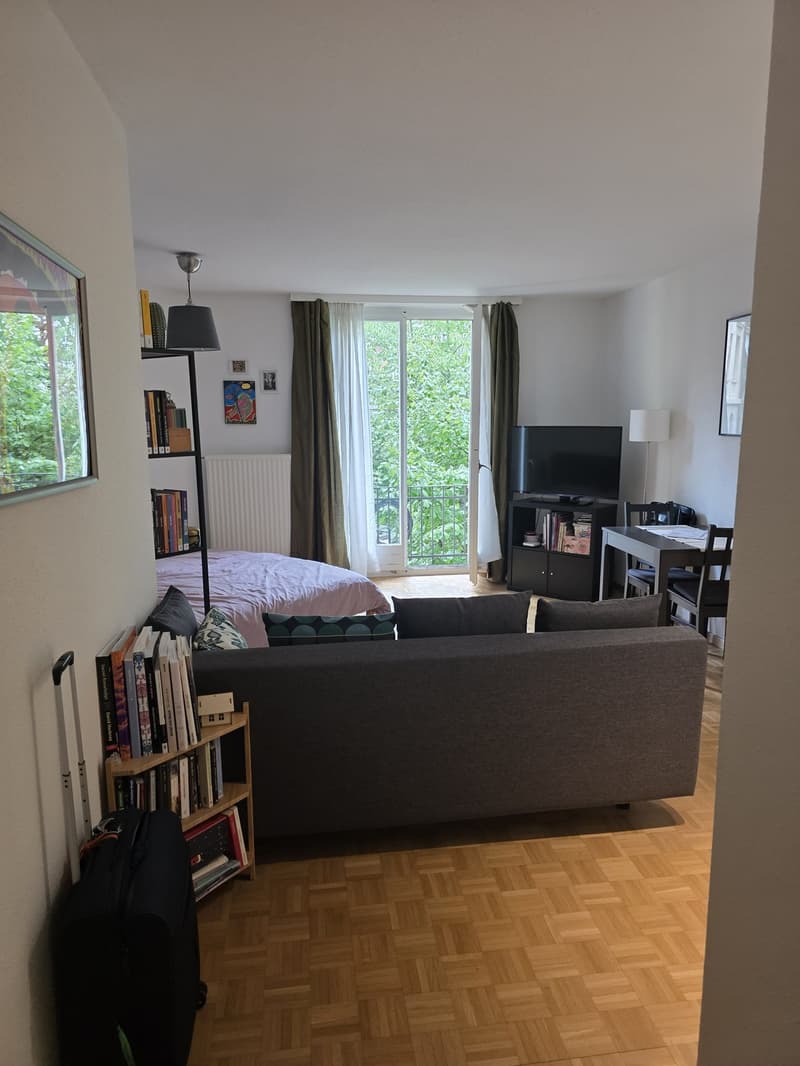 Charmante 1-Zimmer-Wohnung am Hottingerplatz (1)
