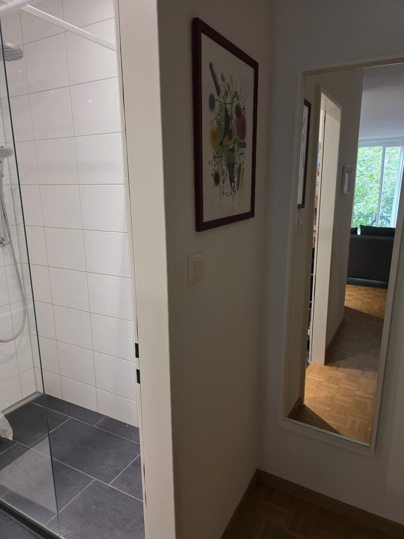 Charmante 1-Zimmer-Wohnung am Hottingerplatz (4)