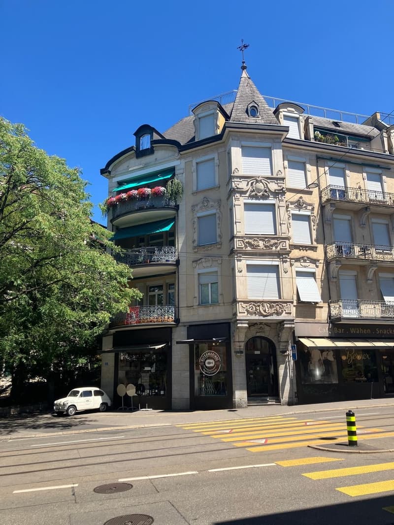 Charmante 1-Zimmer-Wohnung am Hottingerplatz (8)