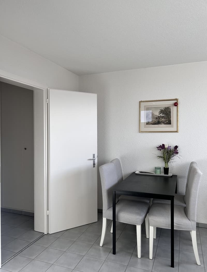Bright apartment in the heart of Bülach for rent (3)