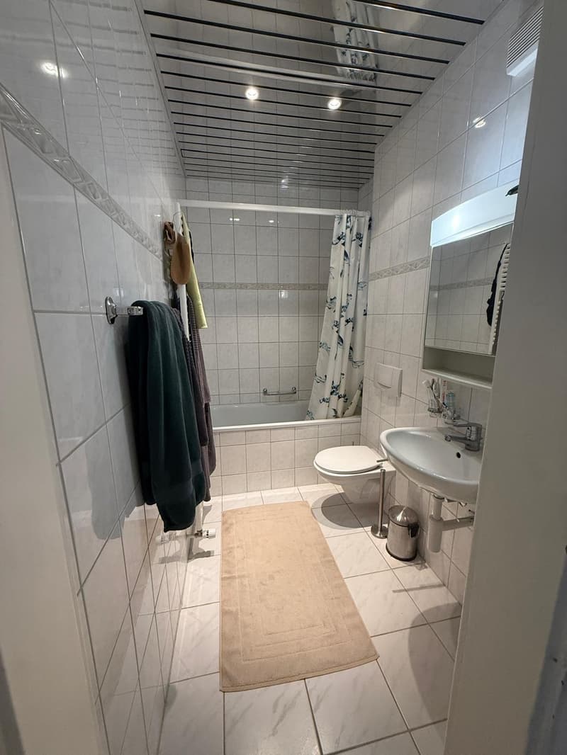 Furnished, temporary shared apartment room in Lucerne (7)