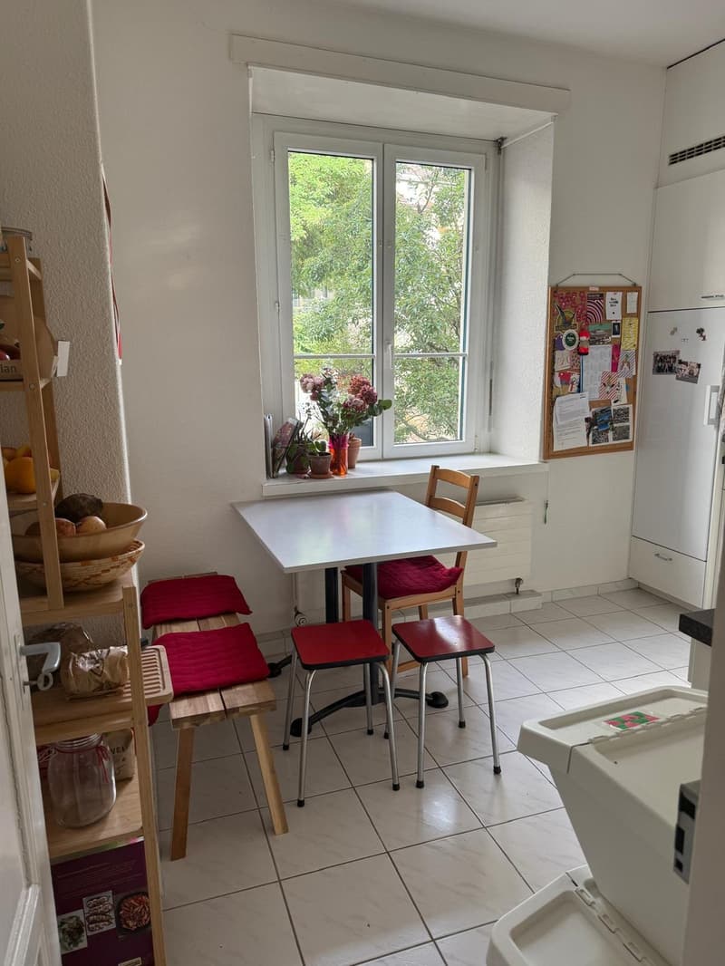 Furnished, temporary shared apartment room in Lucerne (5)