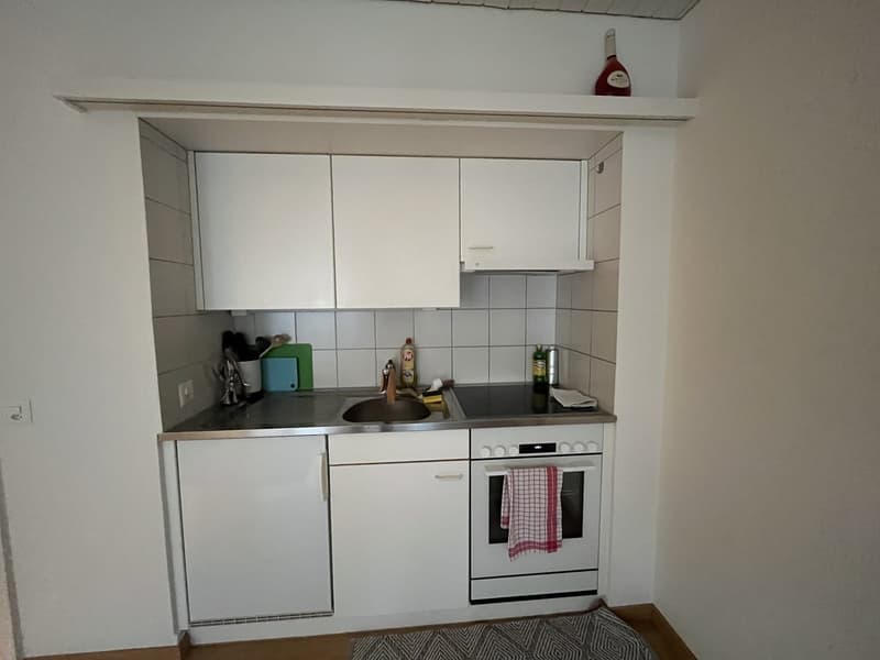 Bright Studio in Zug for short term! (2)