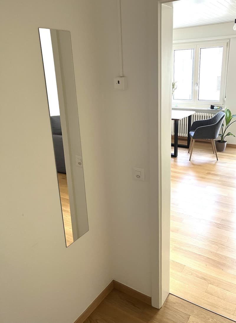 Bright Studio in Zug for short term! (5)