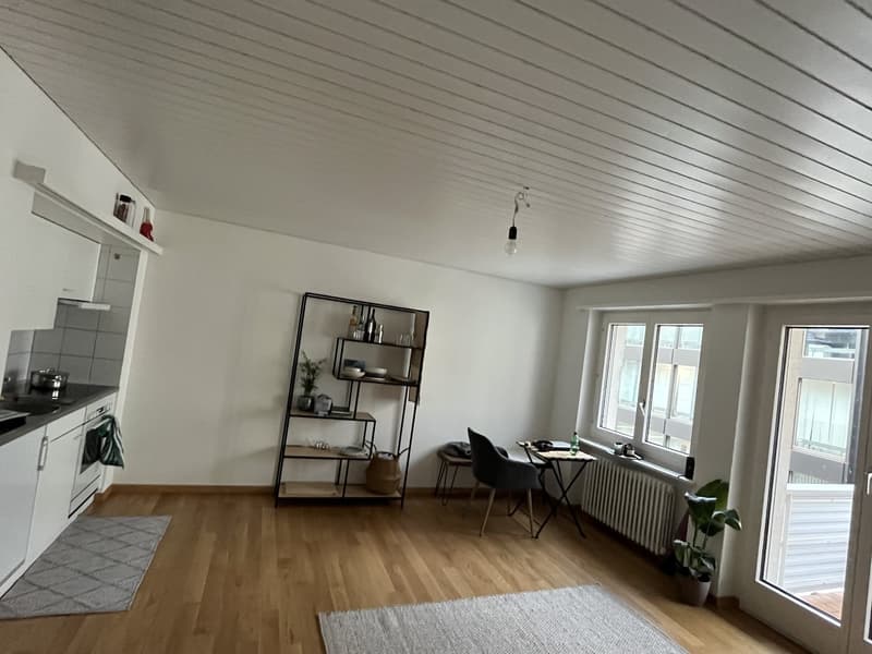 Bright Studio in Zug for short term! (3)