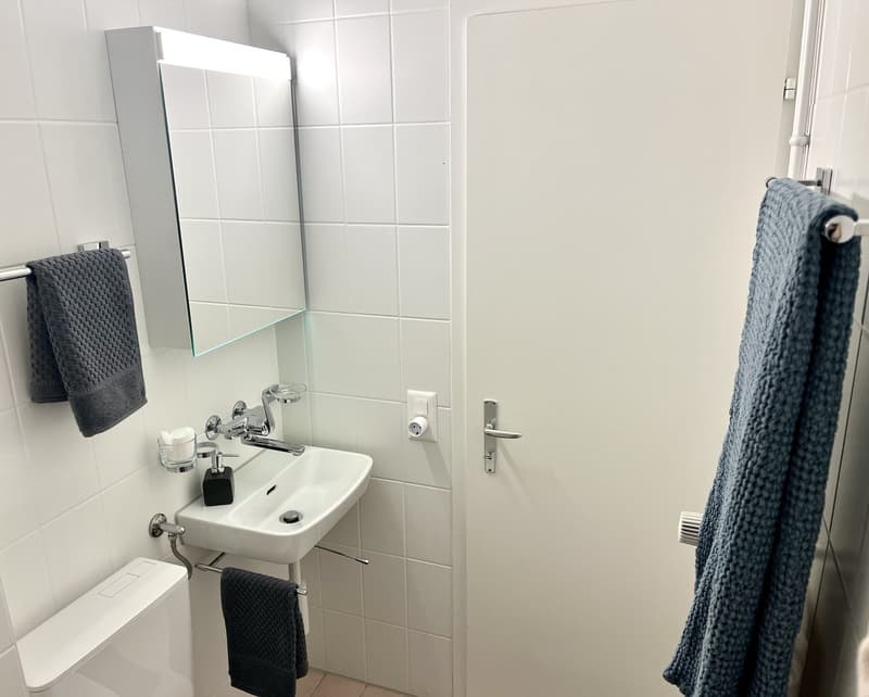 Bright Studio in Zug for short term! (6)