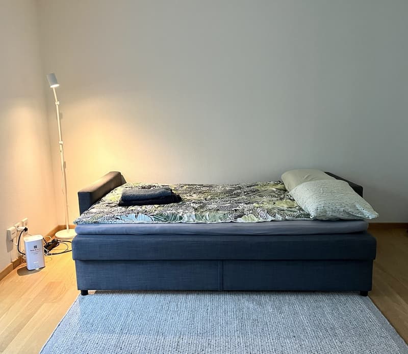 Bright Studio in Zug for short term! (4)