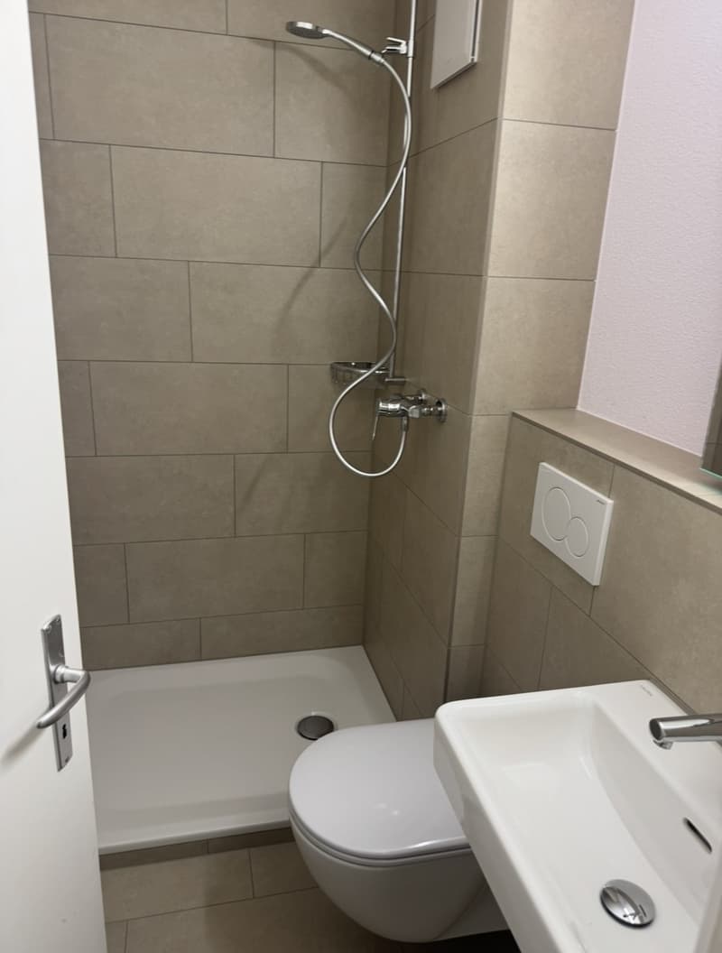 Bright Studio in Zug for short term! (7)