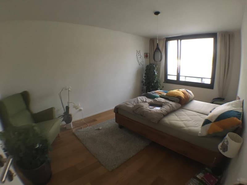 3.5-room apartment with balcony in the Tribschen quarter (4)
