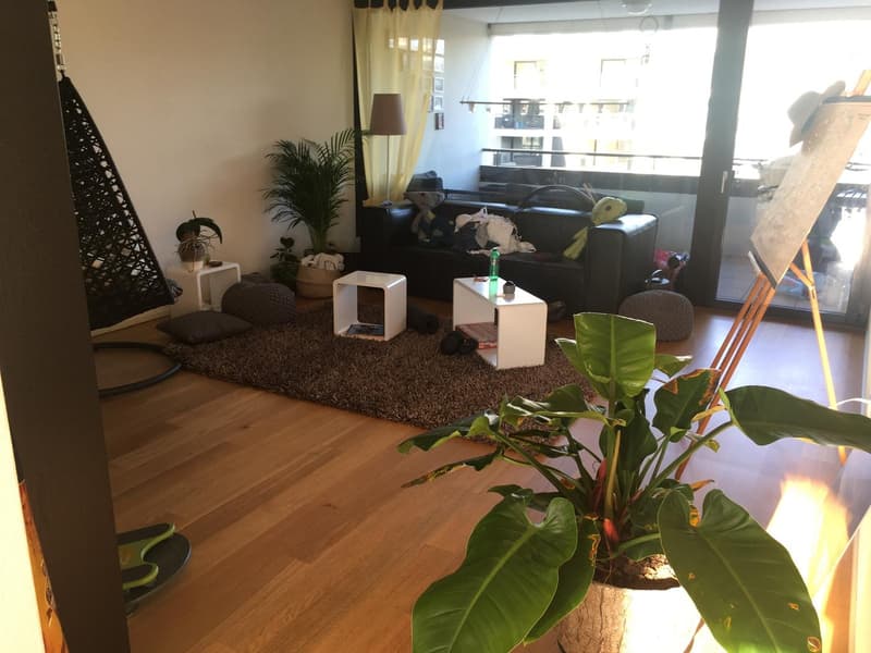 3.5-room apartment with balcony in the Tribschen quarter (6)