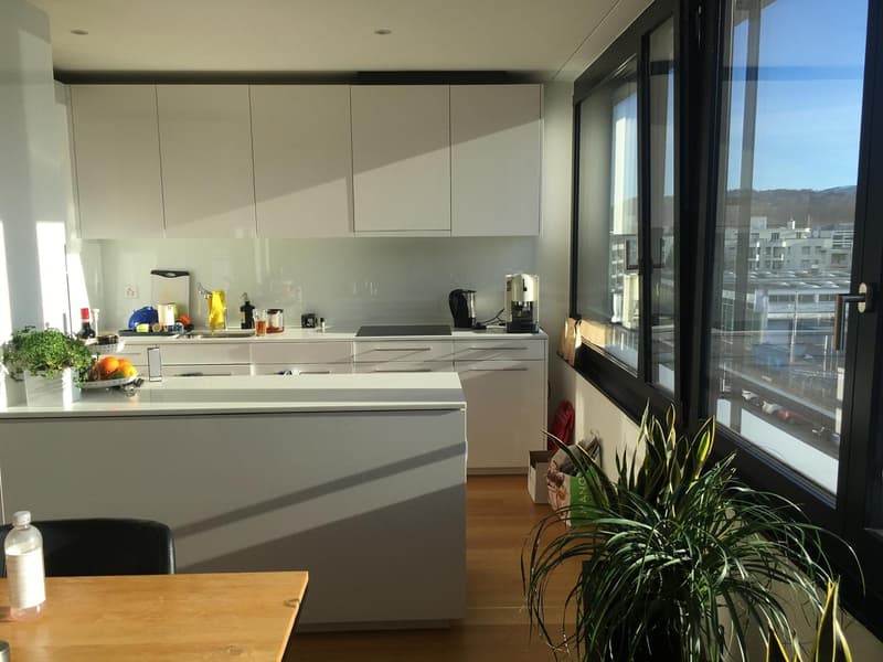 3.5-room apartment with balcony in the Tribschen quarter (2)