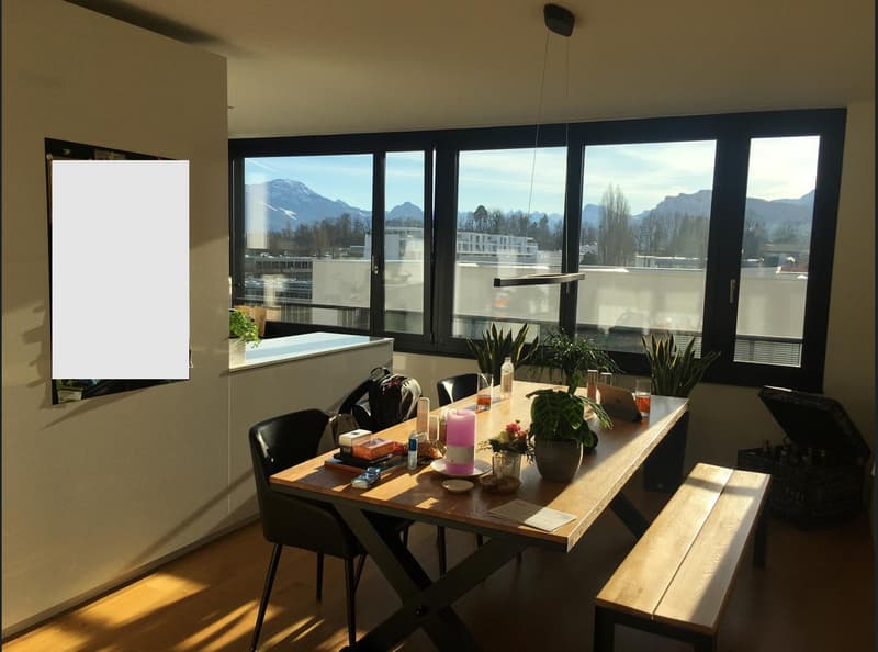 3.5-room apartment with balcony in the Tribschen quarter (1)