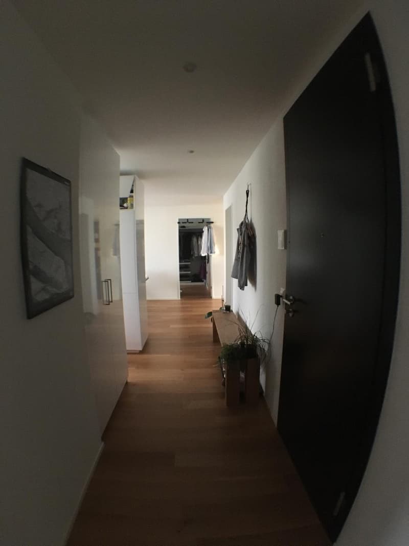 3.5-room apartment with balcony in the Tribschen quarter (3)