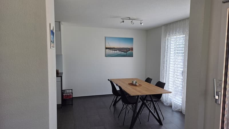 Cercasi inquilino: Appartamento 3.5 locali moderno con ampio giardino (9)