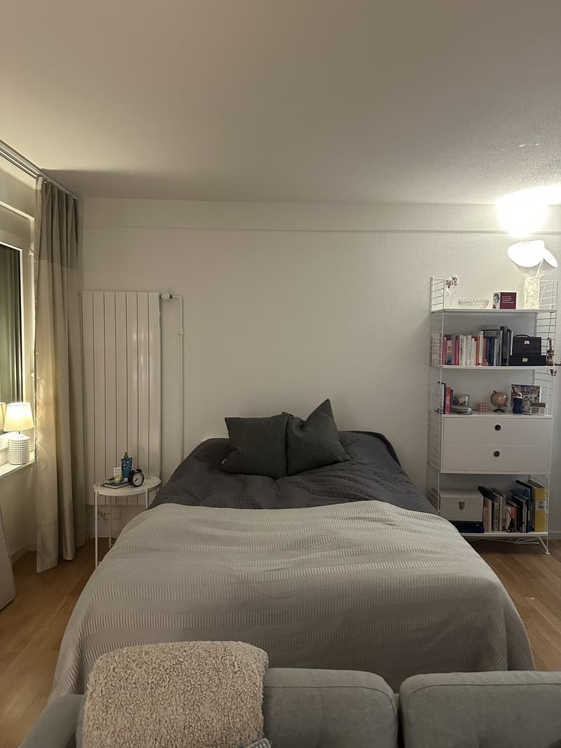Furnished apartment available immediately (3)