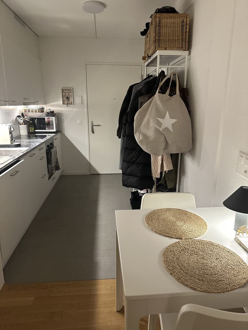 Furnished apartment available immediately (2)