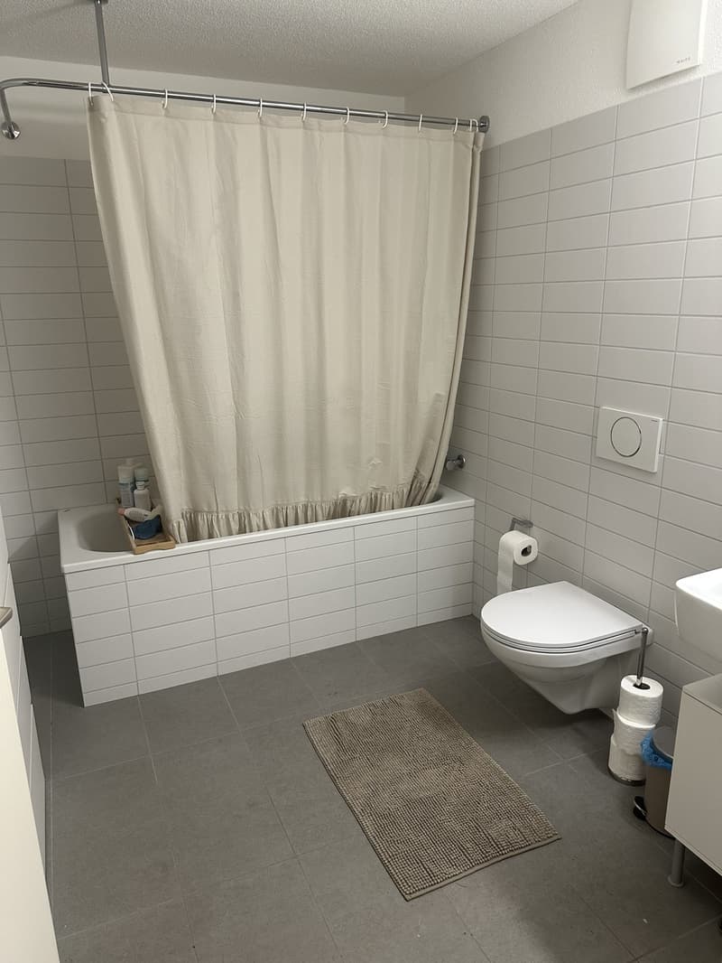 Furnished apartment available immediately (4)