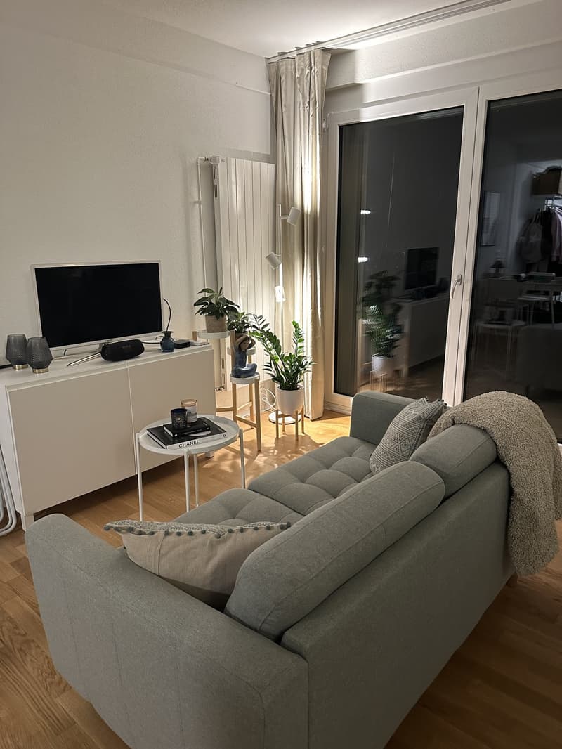 Furnished apartment available immediately (5)