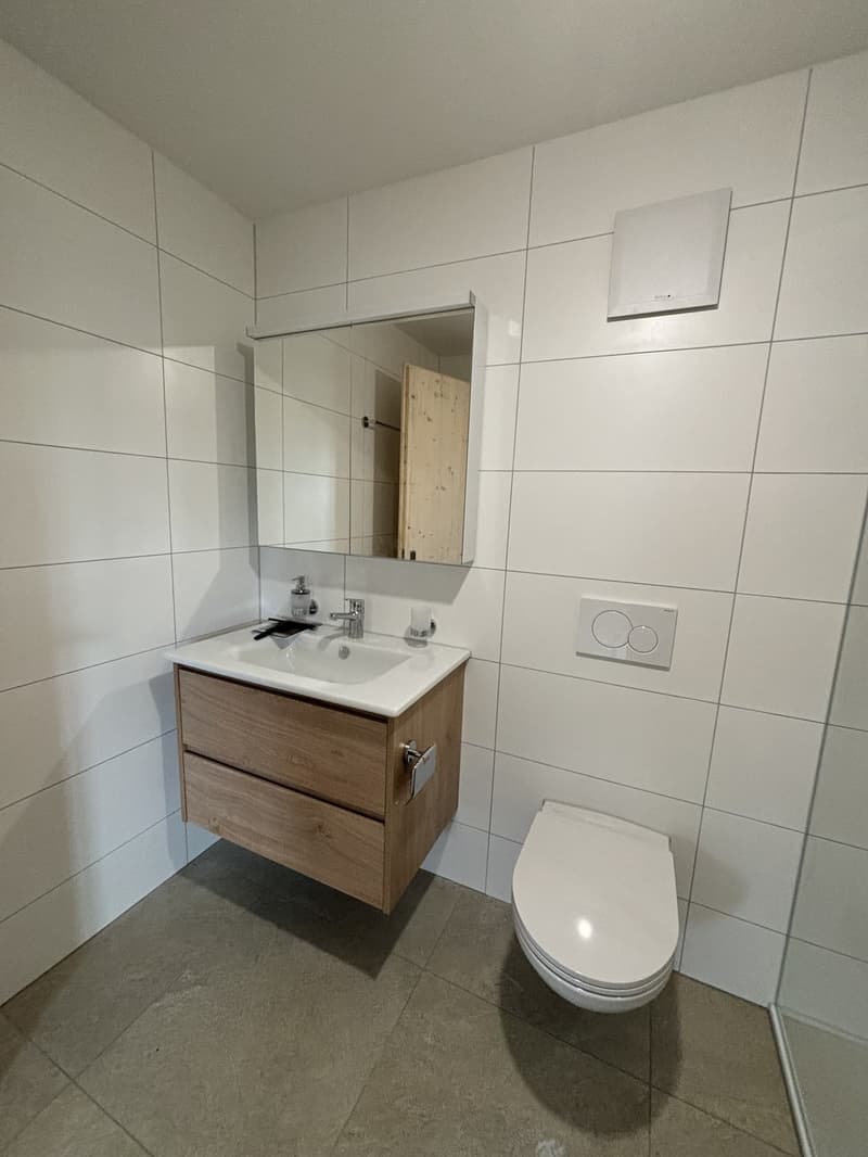 Tenant wanted for 3.5 room apartment (7)
