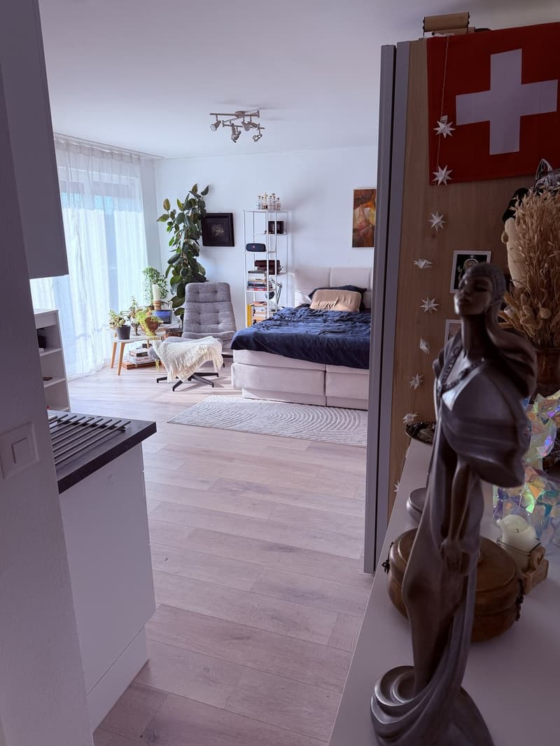 28-m²-Studio mit Balkon in Zürich-Altstetten verfügbar ab 1. September (1)