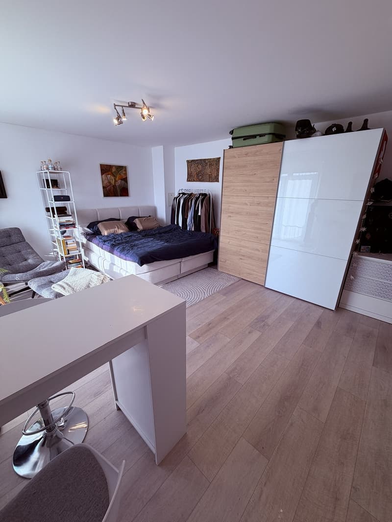 28-m²-Studio mit Balkon in Zürich-Altstetten verfügbar ab 1. September (4)