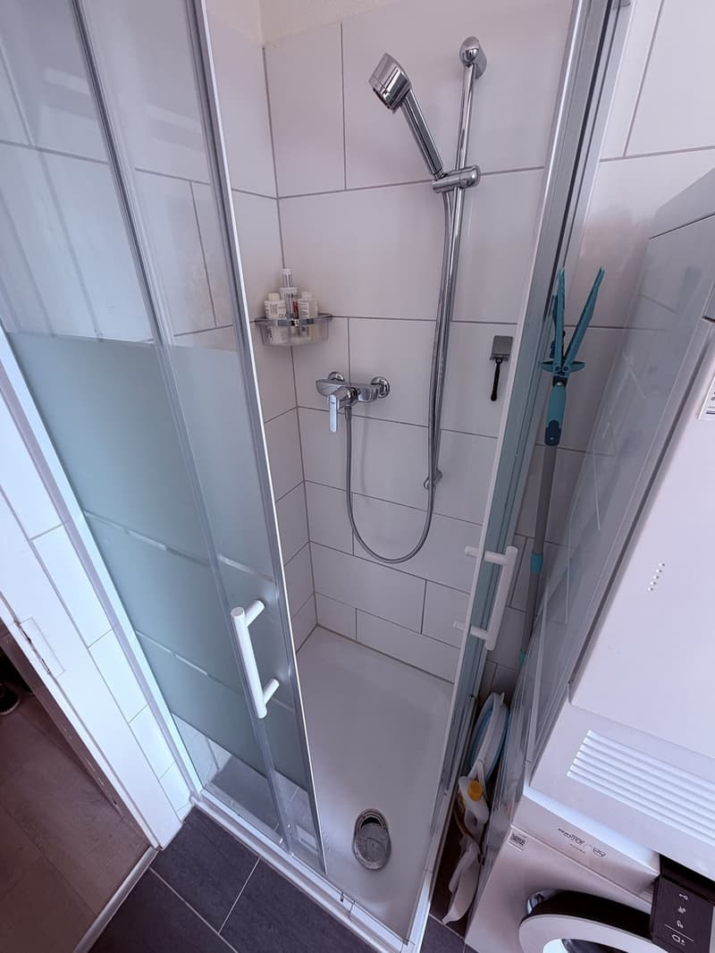 28-m²-Studio mit Balkon in Zürich-Altstetten verfügbar ab 1. September (9)