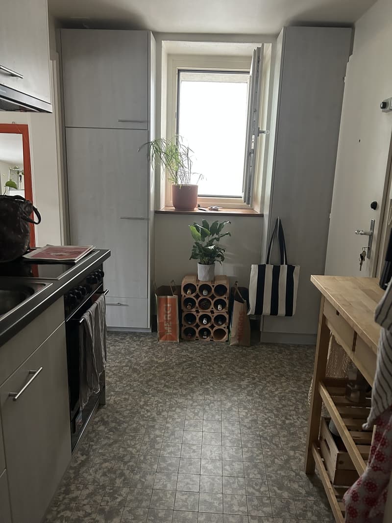 1.5 Room Apartment in Bourg District (4)