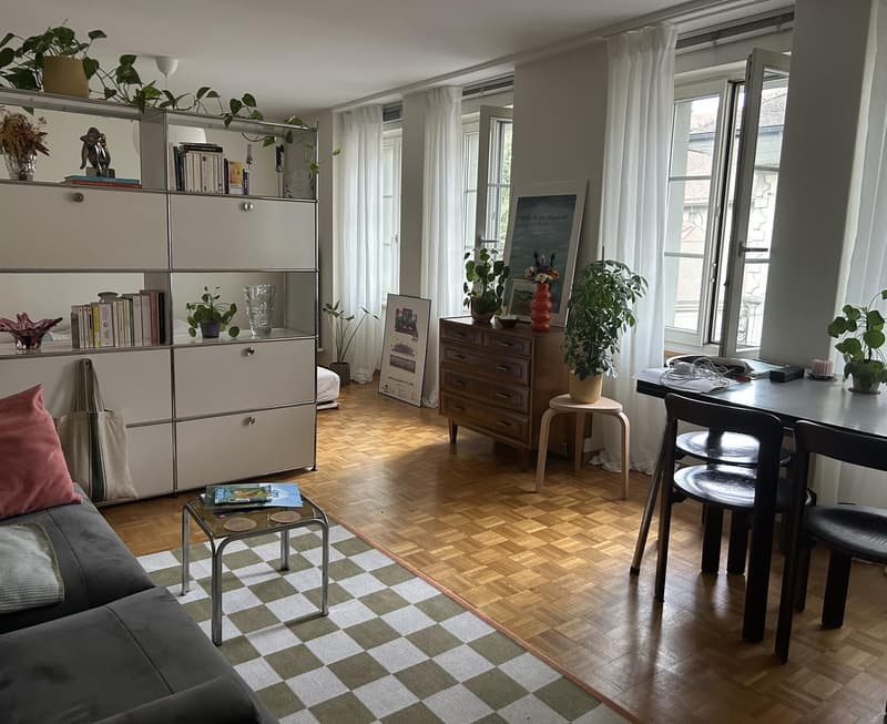 1.5 Room Apartment in Bourg District (1)