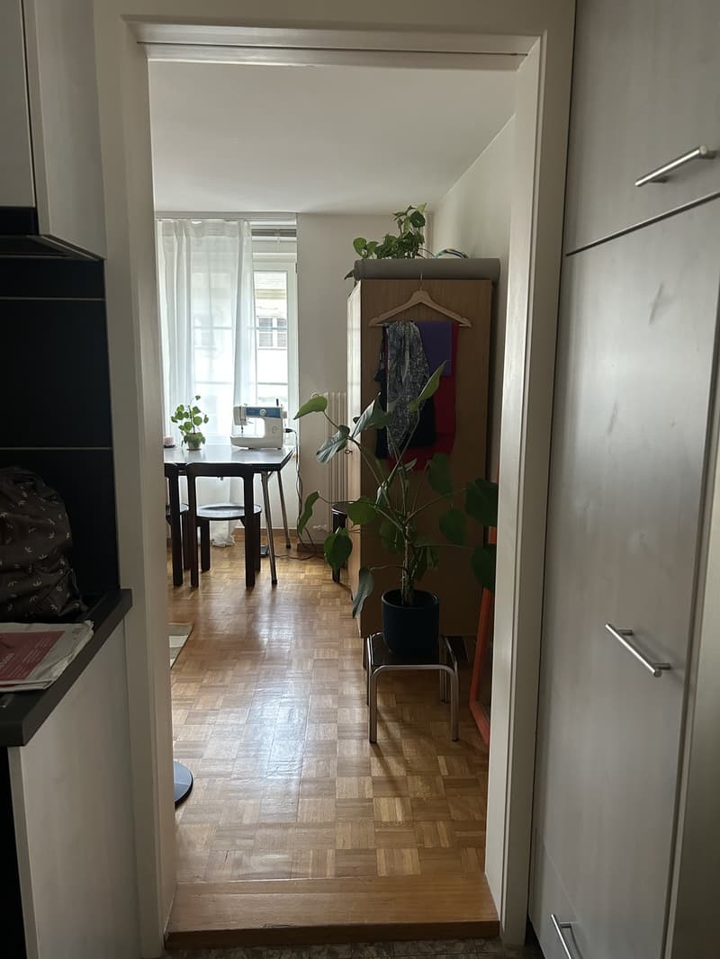1.5 Room Apartment in Bourg District (3)