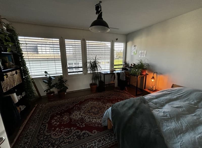 Nouveau à Zurich ? Venez vivre avec nous - Chambres disponibles à Affoltern (6)