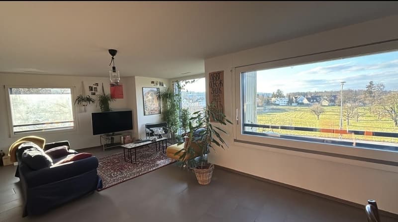 Nouveau à Zurich ? Venez vivre avec nous - Chambres disponibles à Affoltern (1)