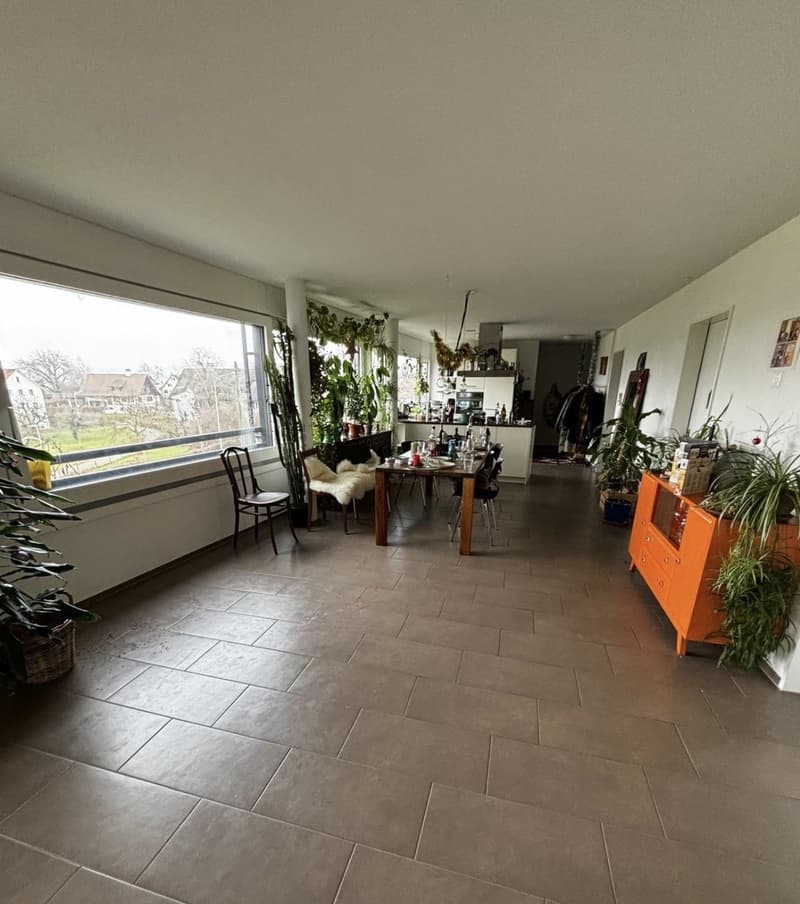 Nouveau à Zurich ? Venez vivre avec nous - Chambres disponibles à Affoltern (2)