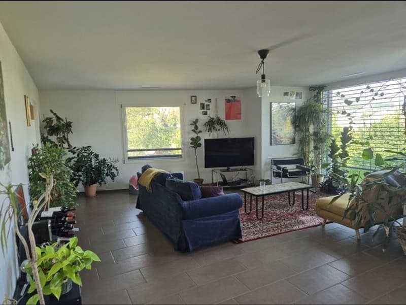 Nouveau à Zurich ? Venez vivre avec nous - Chambres disponibles à Affoltern (5)