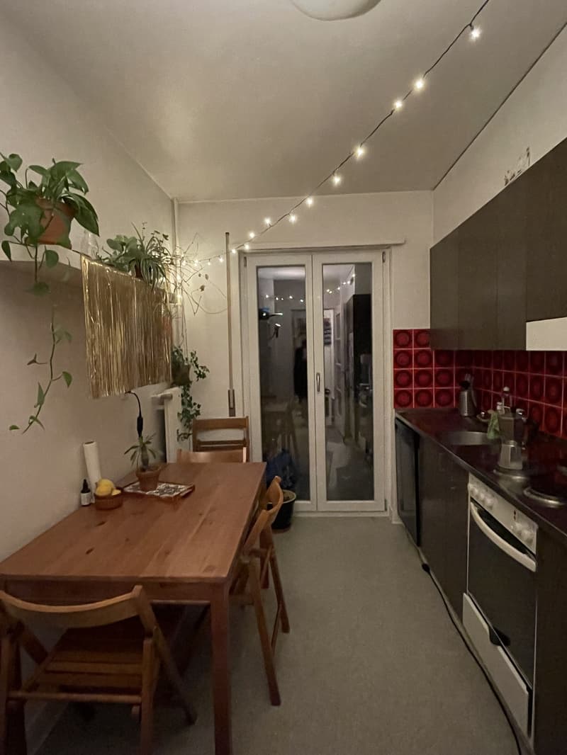 Appartement charmant à proximité de la gare (5)