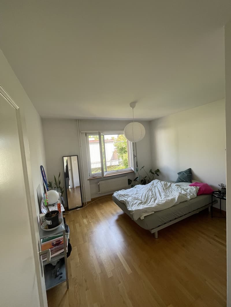 Appartement charmant à proximité de la gare (4)