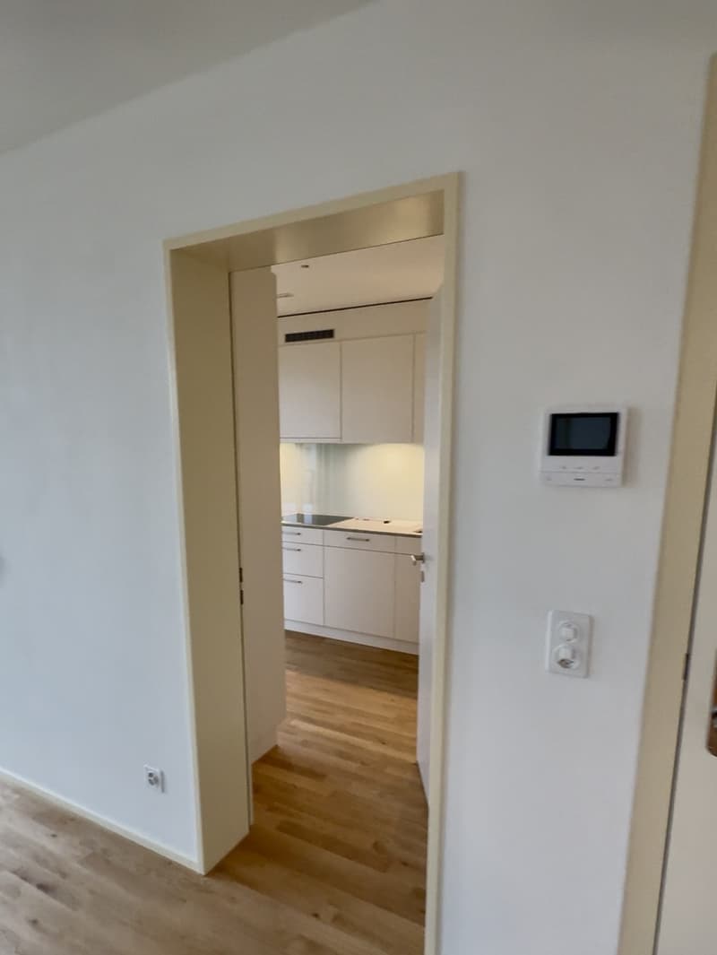 Modern and bright 3.5-room apartment with 2 terraces directly at Wil train station, yet quiet! (2)
