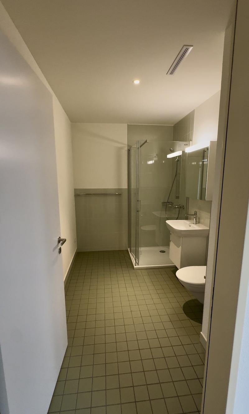 Modern and bright 3.5-room apartment with 2 terraces directly at Wil train station, yet quiet! (9)