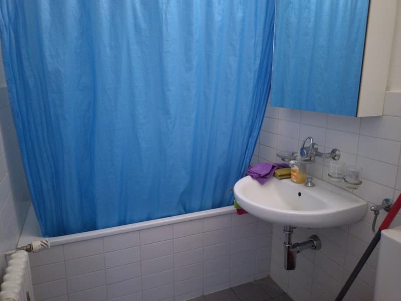 Schöne 2.5 Zimmer Wohnung in Waldnähe (5)