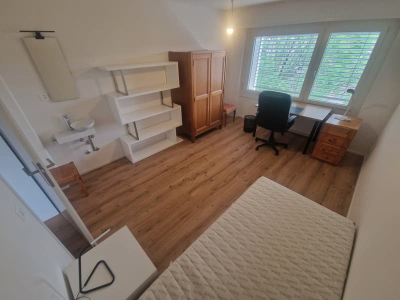 Social WG in newly renovated 141m² flat, 15min to HB / Limmat nearby (12)