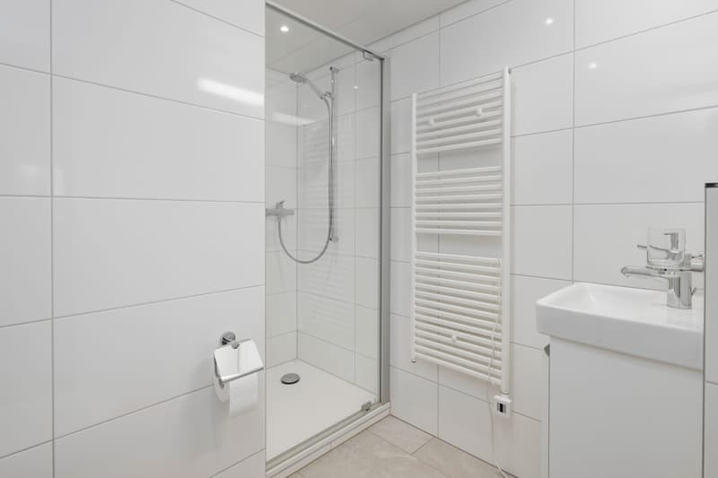 Social WG in newly renovated 141m² flat, 15min to HB / Limmat nearby (11)